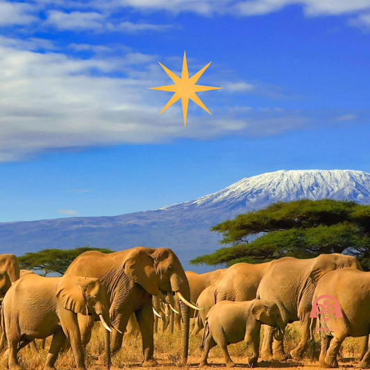 Tanzanian gOOOd dreams