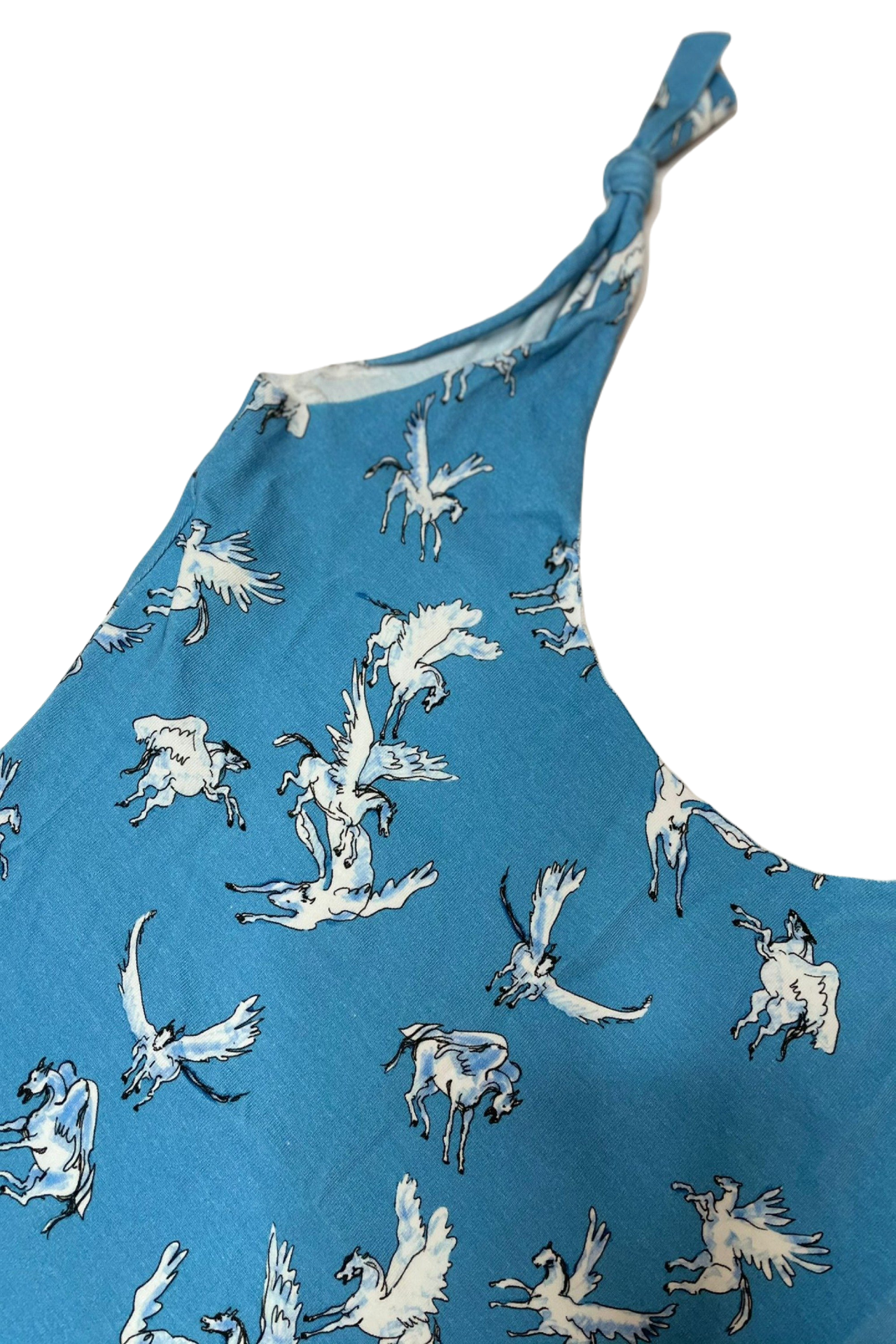 Pegasus Swimsuit (gOOOders x Isole & Vulcani)